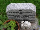 image of grave number 672967